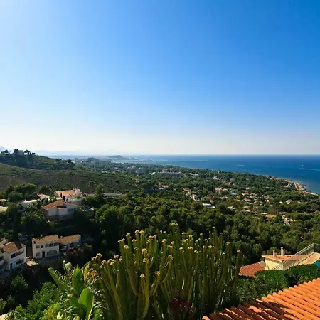 El Palmar Vyb *