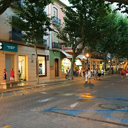 El Palmar Vyb Daire *